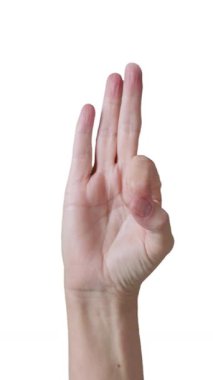 Dikey Kadın El İşaret Dili, ASL, Amerikan Alfabesi Beyaz Arkaplanda İzole Edildi.