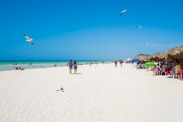 Sisal Mexico August 2022 Tourists Locals Beautiful Beach Sisal Yucatan 로열티 프리 스톡 이미지