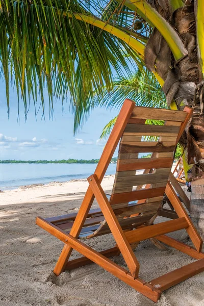 古巴Playa Larga海滩上的躺椅和棕榈树 — 图库照片