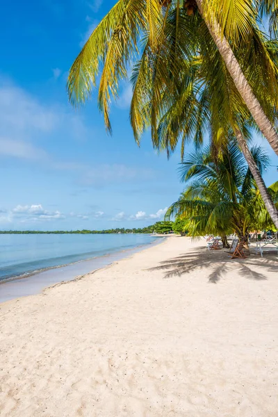 キューバのサパタ半島自然保護区のプラヤラーガの美しいビーチ — ストック写真