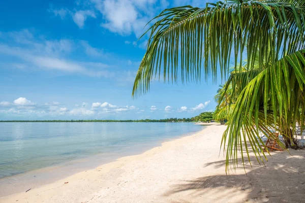古巴Zapata半岛自然保护区Playa Larga美丽的海滩 免版税图库图片