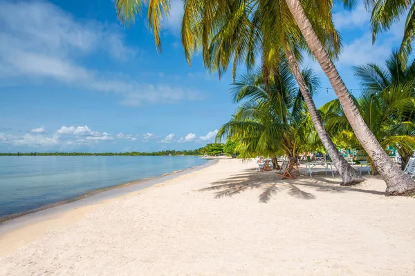 Den Vackra Stranden Vid Playa Larga Naturreservatet Zapata Kuba Stockbild