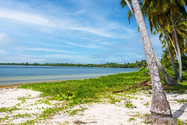 Bela Praia Playa Larga Península Zapata Cuba Dia Ensolarado Verão Fotografias De Stock Royalty-Free