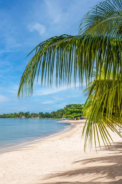 Der Wunderschöne Strand Playa Larga Auf Der Halbinsel Zapata Kuba lizenzfreie Stockfotos