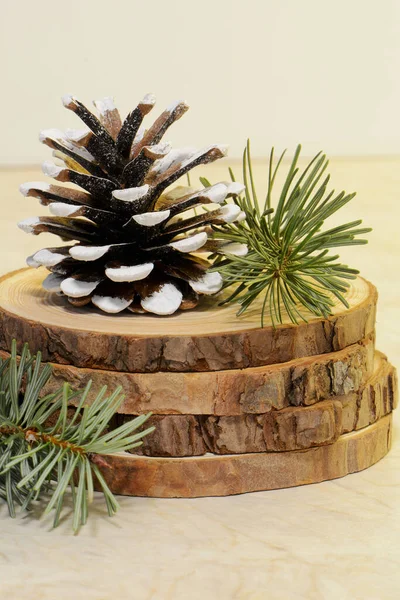 テキストのための部屋と垂直形式で木製のコースターに松のコーンを霜 お祭りのクリスマスの装飾 — ストック写真