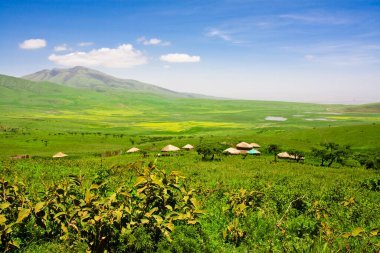 Tanzanya 'daki Ngorongoro Krateri' ndeki Afrika manzarası