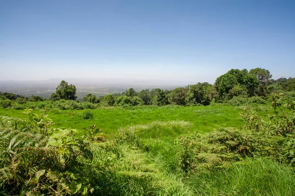 Afrykański Krajobraz Kraterze Ngorongoro Tanzanii — Zdjęcie stockowe