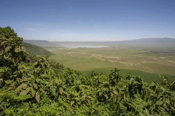 Afrikanskt Landskap Vid Ngorongoro Krater Tanzania — Stockfoto