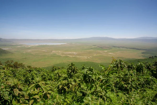 Paisaje Africano Cráter Ngorongoro Tanzania — Foto de Stock