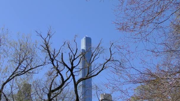 Central Park Primavera Manhattan Nova York Eua Março 2023 — Vídeo de Stock