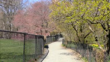 Baharda Central Park, Manhattan, New York, ABD, 30 Mart 2023