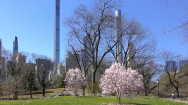 Central Park, Manhattan, New York, ABD 'deki kimliği belirsiz kişiler 30 Mart 2023