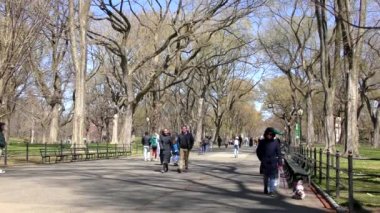 Central Park, Manhattan, New York, ABD 'deki kimliği belirsiz kişiler 30 Mart 2023