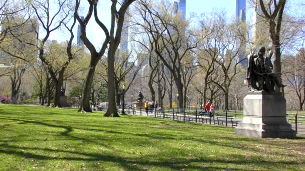 Persone Non Identificate Central Park Manhattan New York Usa Marzo — Video Stock
