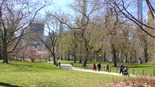 Unidentified People Central Park Manhattan New York Usa March 2023 — Stock Video