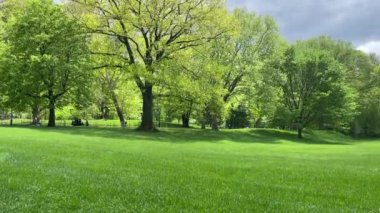 Baharda Central Park, Manhattan, New York, ABD, Mayıs 2023