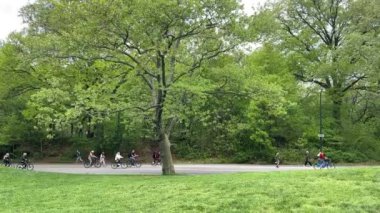 Baharda Central Park, Manhattan, New York, ABD, Mayıs 2023