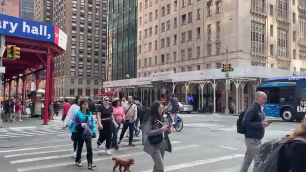 Вулиця Авеню — стокове відео