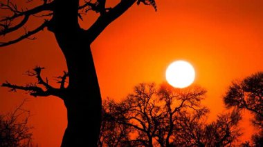 Zaman aşımı videosu. Günbatımında bulutlar ve güneşle Ulusal Park 