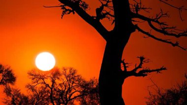 Zaman aşımı videosu. Günbatımında bulutlar ve güneşle Ulusal Park 