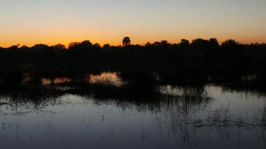 Okavango Nehri 'nde güzel gün batımı gökyüzü 