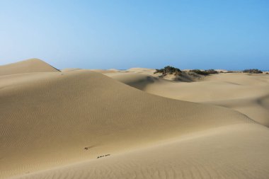İspanya 'nın Gran Kanarya Adası' ndaki Maspalom tepeleri