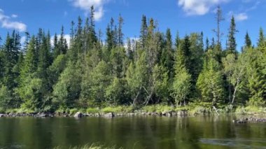 Kuzey İsveç 'te ıssız bir yerde nehir.