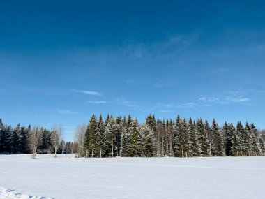 Kuzey İsveç'in kış manzarası