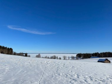 Kuzey İsveç'in kış manzarası