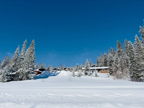 北スウェーデンの冬の風景 — ストック写真