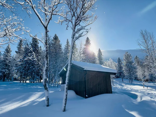 Vinterlandskap Norra Sverige — Stockfoto