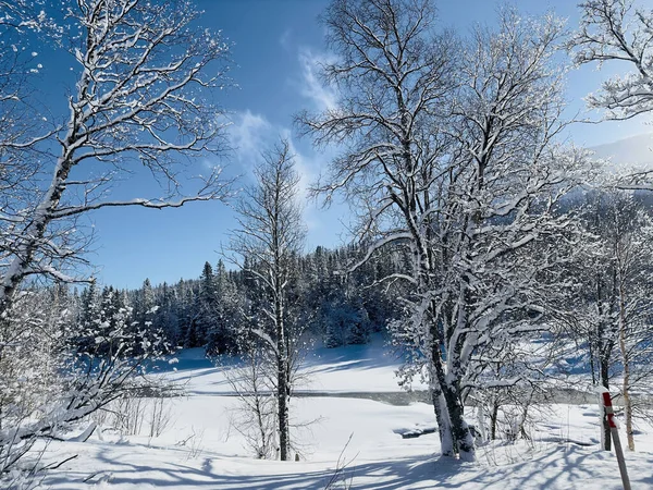 Zimowy Krajobraz Północnej Szwecji — Zdjęcie stockowe