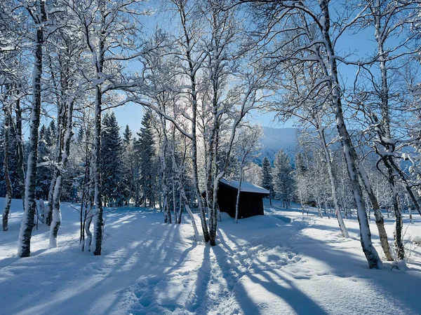 瑞典北部冬季景观 — 图库照片