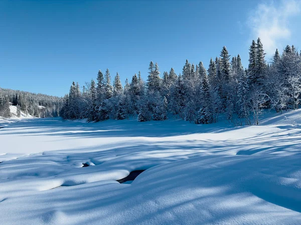 Winterlandschaft Nordschwedens — Stockfoto