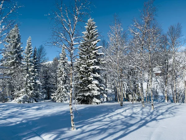 Nordsvensk Vinterlandskap – stockfoto