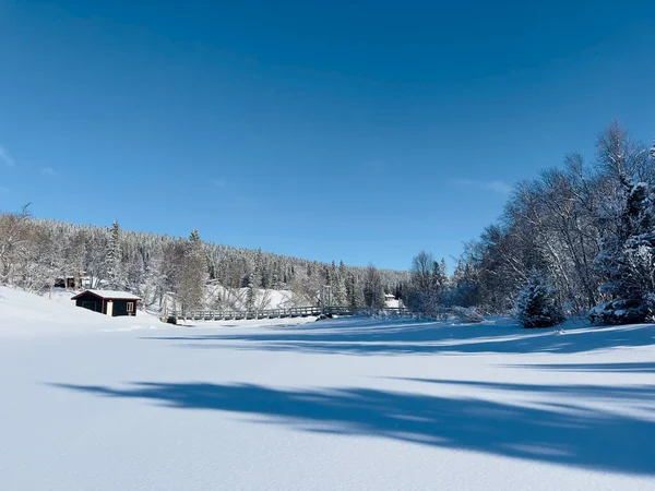 瑞典北部冬季景观冬季景观 — 图库照片
