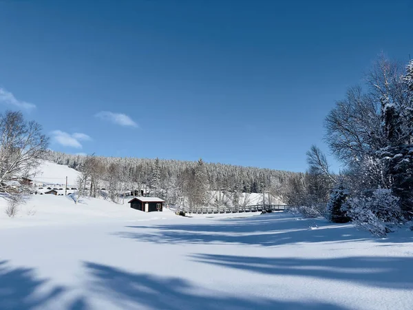 Vinterlandskap Norr Vinterlandskap Norra Sverige — Stockfoto