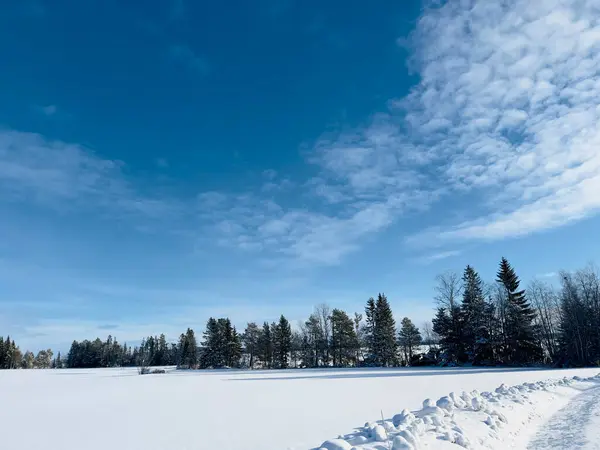 Zimní Krajina Severu Zimní Krajina Severního Švédska — Stock fotografie