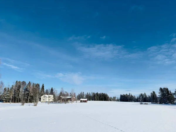 Зимовий Пейзаж Північної Зими Північної Швеції — стокове фото