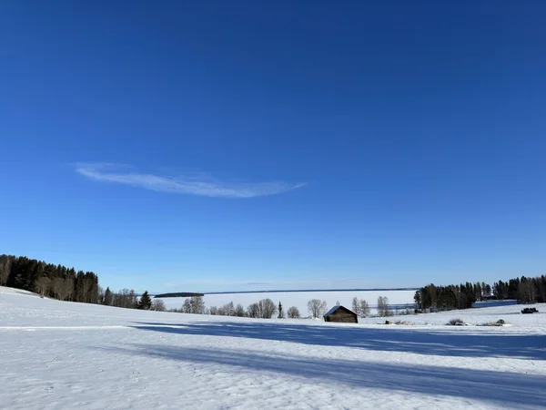 Paisaje Invernal Del Norte Suecia —  Fotos de Stock