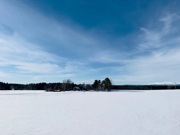 Paisaje Invernal Del Norte Suecia —  Fotos de Stock
