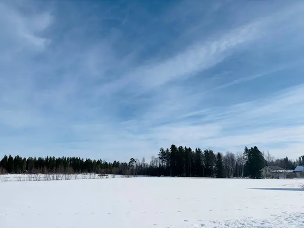 Paisagem Inverno Norte Suécia — Fotografia de Stock