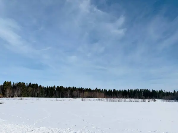 Téli Táj Észak Svédország — Stock Fotó