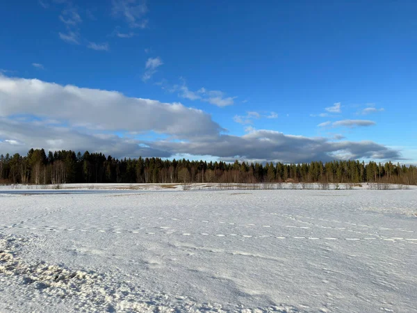Zimní Krajina Severního Švédska — Stock fotografie