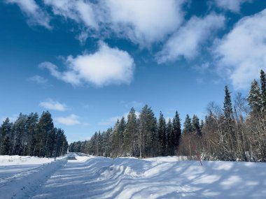 Kuzey İsveç'in kış manzarası