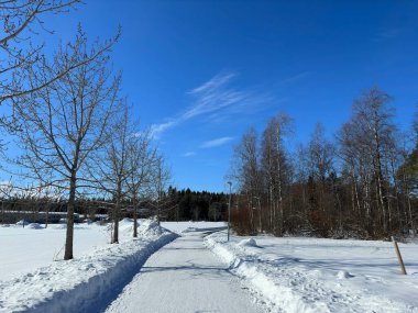 Kuzey İsveç'in kış manzarası