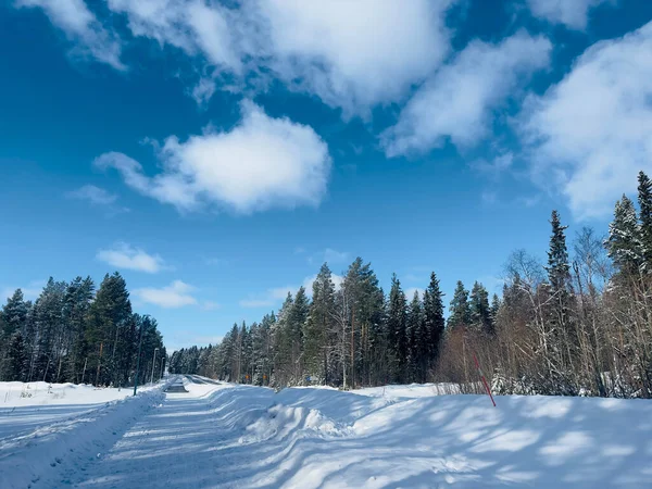 Vinterlandskab Nord Sveden - Stock-foto