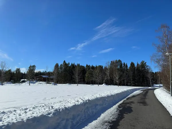 스웨덴 북부의 — 스톡 사진
