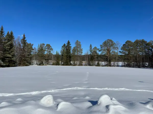 Vinterlandskap Norra Sverige — Stockfoto
