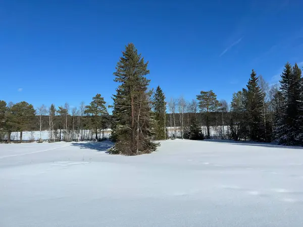 Winterlandschap Van Noord Zweden — Stockfoto